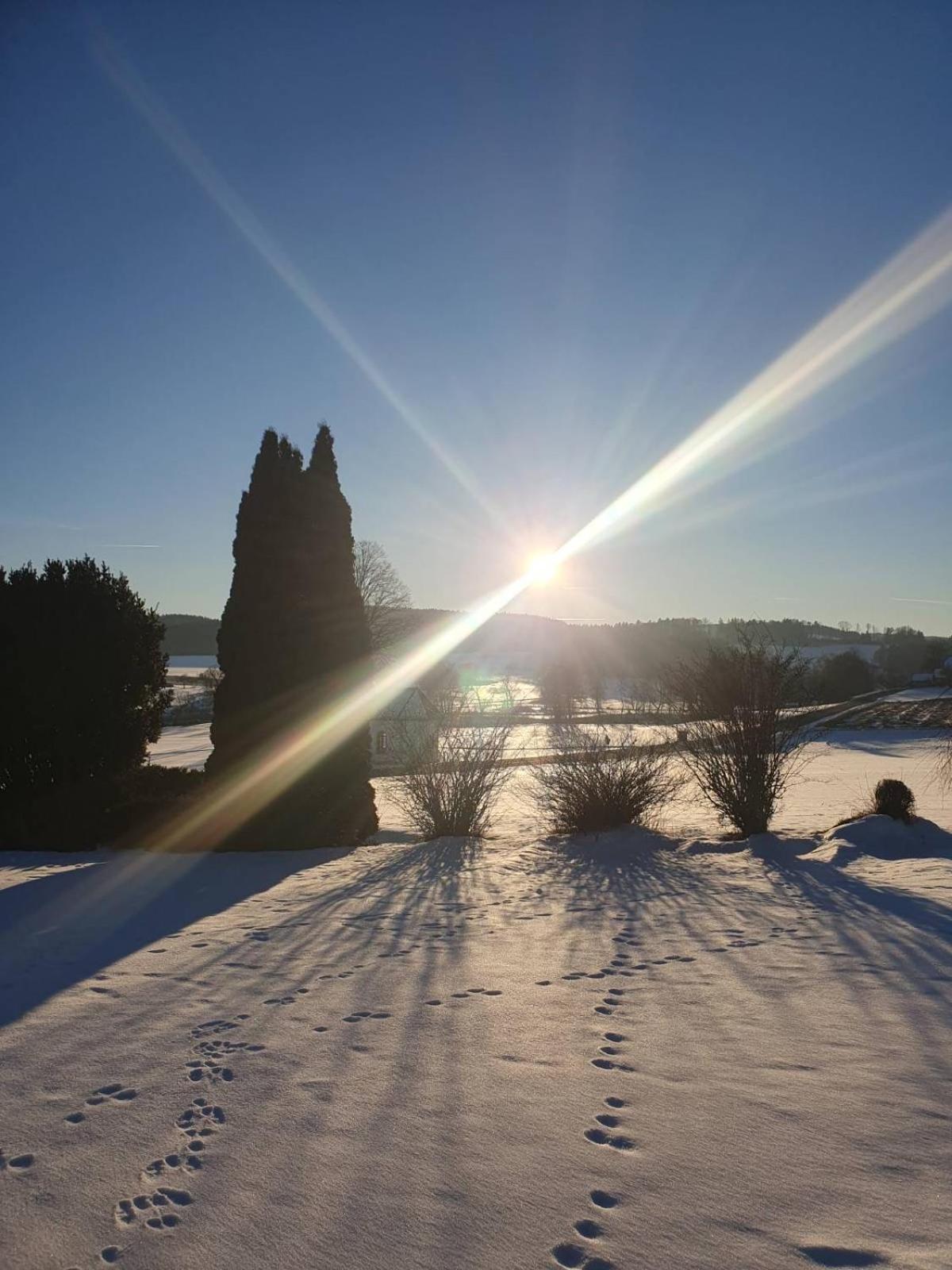 Boehmerwald Fun Holiday home *